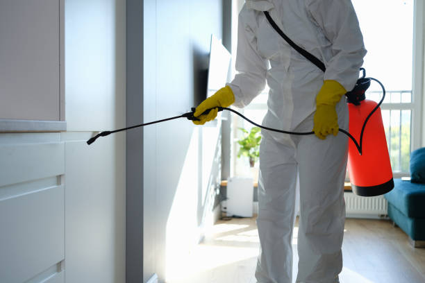 Best Mold Remediation for Specific Building Types in Underwood Petersville, AL